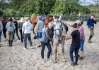 Efterskole for en dag 028